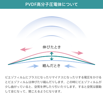 PVDF高分子圧電体について：ピエゾフィルムにプラスになったりマイナスになったりする電圧をかけるとピエゾフィルムは伸びたり縮んだりします。この時にピエゾフィルムが少し曲がっていると、空気を押したり引いたりします。すると空気は振動して音になって、聞こえるようになります。