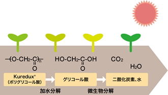 Kureduxの分解性