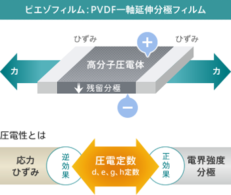 ピエゾフィルムによりタッチ操作の応力やひずみにのみ反応するよう調整可能