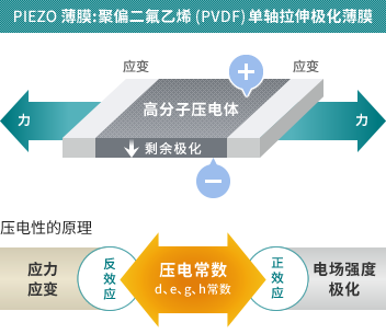 PIEZO薄膜：聚偏二氟乙烯（PVDF）单轴拉伸极化薄膜