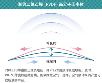 聚偏二氟乙烯（PVDF）高分子压电体　对PIEZO薄膜加正或负电压，则PIEZO薄膜伸长或收缩。此时，PIEZO薄膜如稍微翘曲，则会推拉空气，这样，空气振动从而产生可以听到的声音。