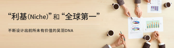 “利基(Niche)”和“全球第一”