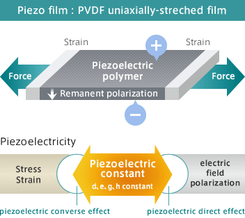 Piezo film : PVDF uniaxially-streched film