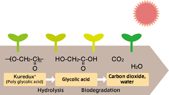 Biodegradability