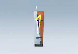 *5 Asia Bronze Award
