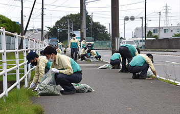 Cleanup volunteer activities