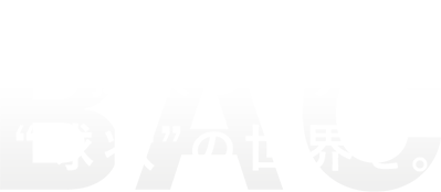 Bead-shaped Activated Carbon 探索しよう、“球状”の世界を。
